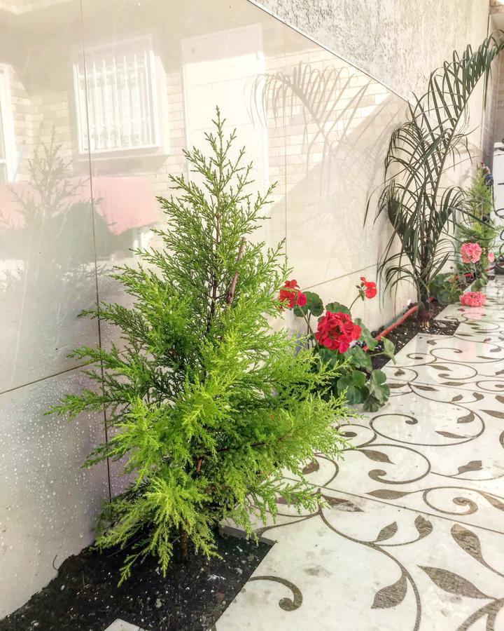 Shahal Apartments Beersheba Exteriér fotografie